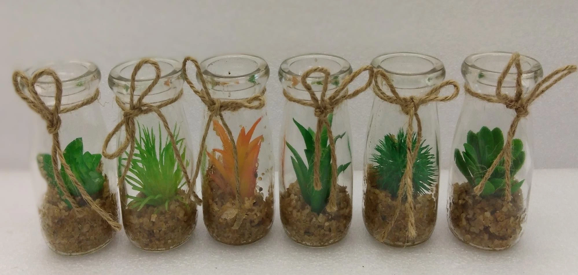 Bonsai in Glass Vase 4x10cm